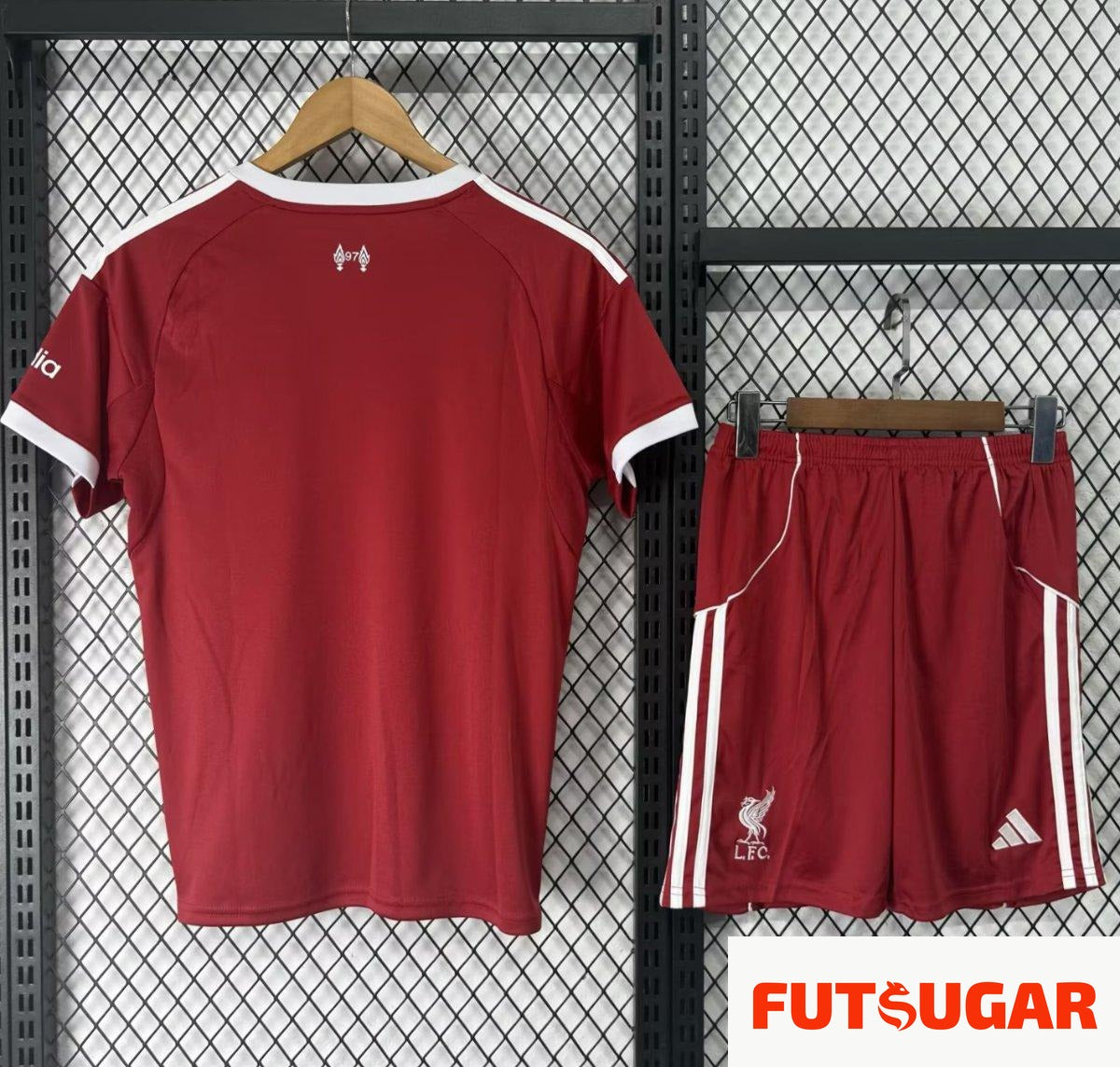 31fd98974efaf65eafbf004d.jpg